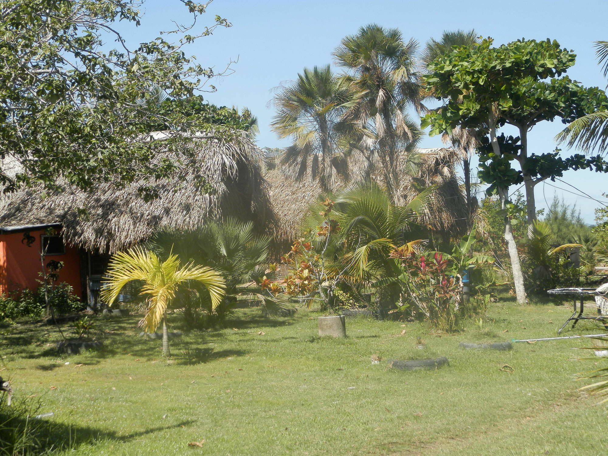 Palmento Grove Cultural And Fishing Lodge Хопкинс Экстерьер фото