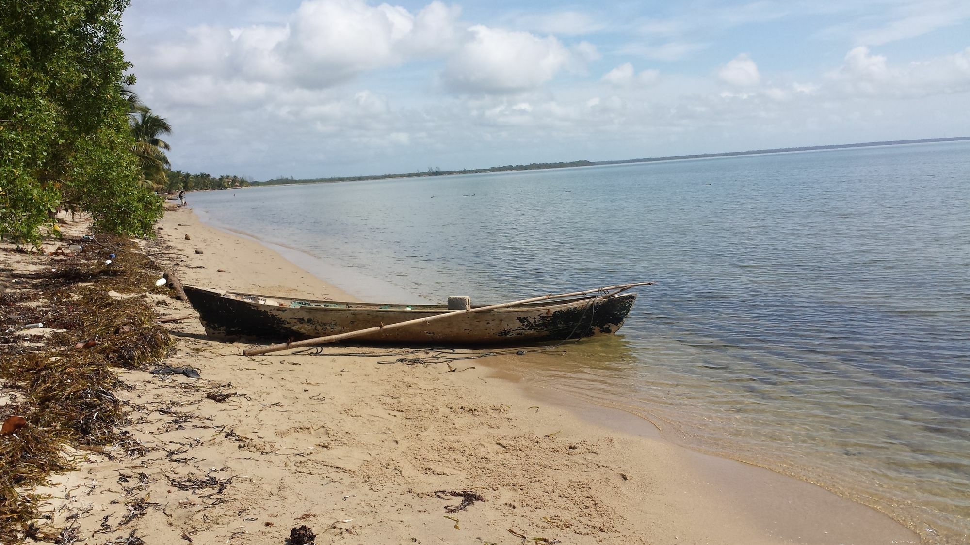 Palmento Grove Cultural And Fishing Lodge Хопкинс Экстерьер фото