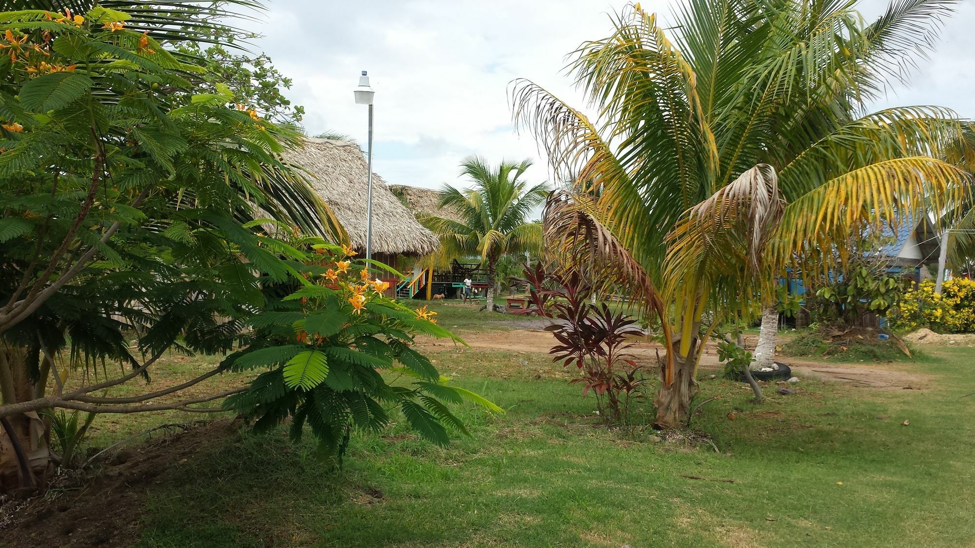 Palmento Grove Cultural And Fishing Lodge Хопкинс Экстерьер фото