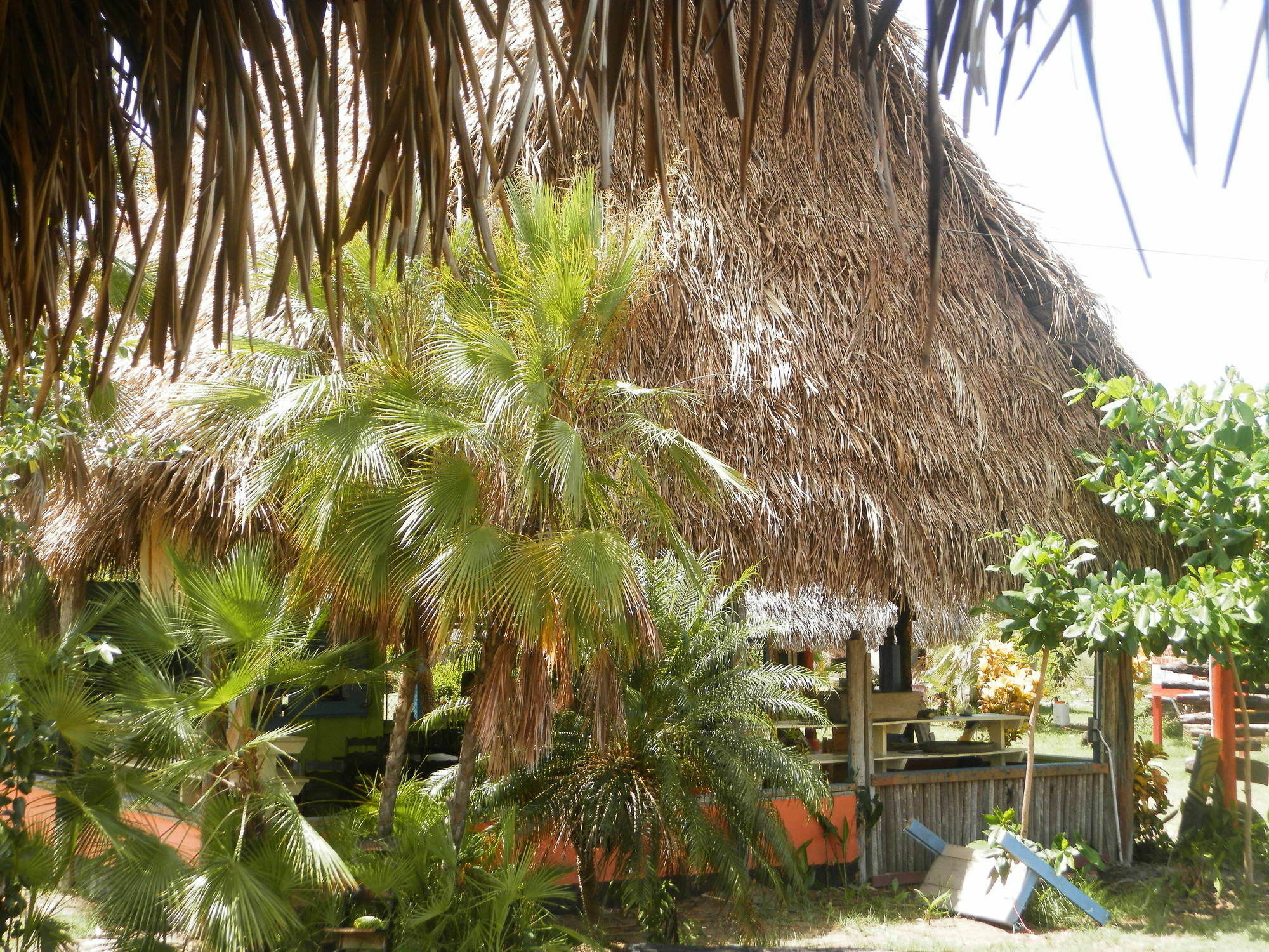 Palmento Grove Cultural And Fishing Lodge Хопкинс Экстерьер фото