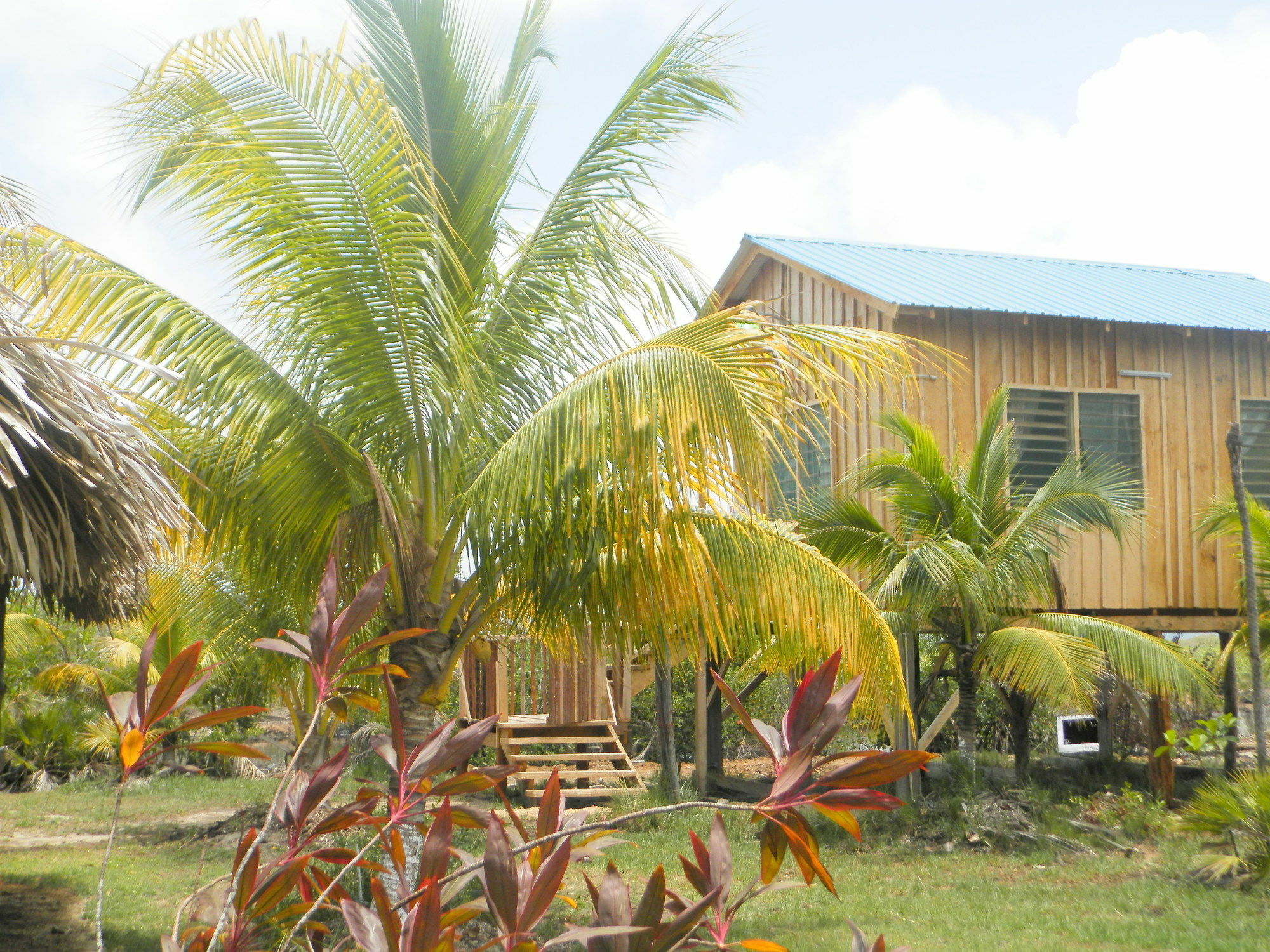 Palmento Grove Cultural And Fishing Lodge Хопкинс Экстерьер фото